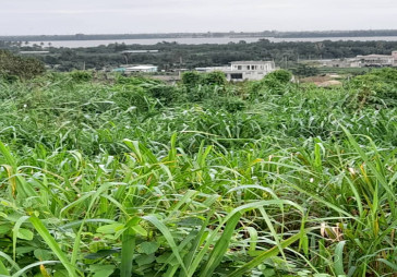 Grande parcelle aménageable à Riviera - Image 4